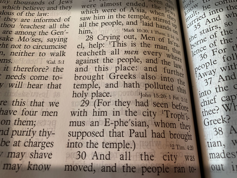Acts 21:28