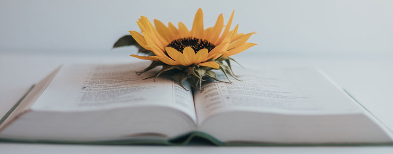 Open Bible