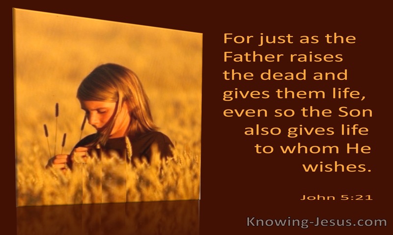 For as the Father raises the dead and gives them life, so also the Son gives life to whom he will. ~ John 5:21