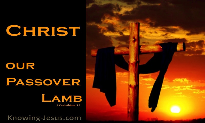 For Christ, our Passover lamb, has been sacrificed. ~ 1 Corinthians 5:7