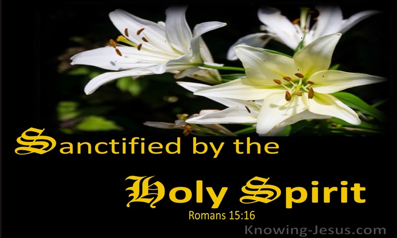 sanctified by the Holy Spirit. ~ Romans 15:16