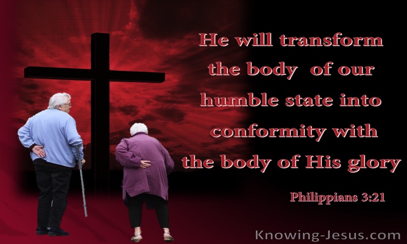 who will transform our lowly body to be like his glorious body, by the power that enables him even to subject all things to himself. ~ Philippians 3:21