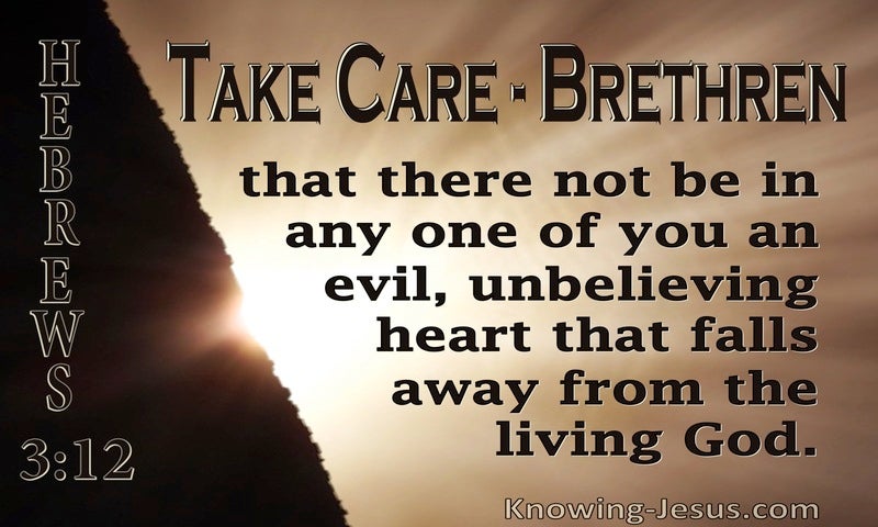 Take care, brothers, lest there be in any of you an evil, unbelieving heart, leading you to fall away from the living God. ~ Hebrews 3:12