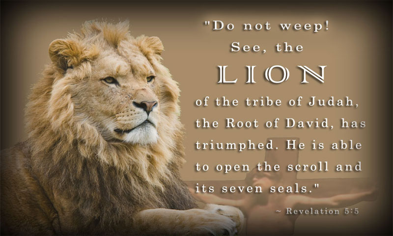 And one of the elders said to me, “Weep no more; behold, the Lion of the tribe of Judah, the Root of David, has conquered, so that he can open the scroll and its seven seals.” ~ Revelation 5:5