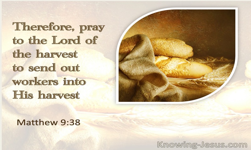 Pray ye therefore the Lord of the harvest, that he will send forth labourers into his harvest. ~ Matthew 9:38
