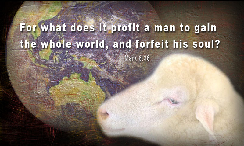 For what does it profit a man to gain the whole world and forfeit his soul? ~ Mark 8:36