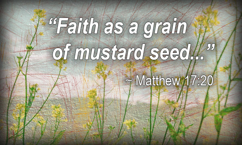 Faith as a grain of mustard seed