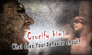 Discernment of the Cults and False Teachers